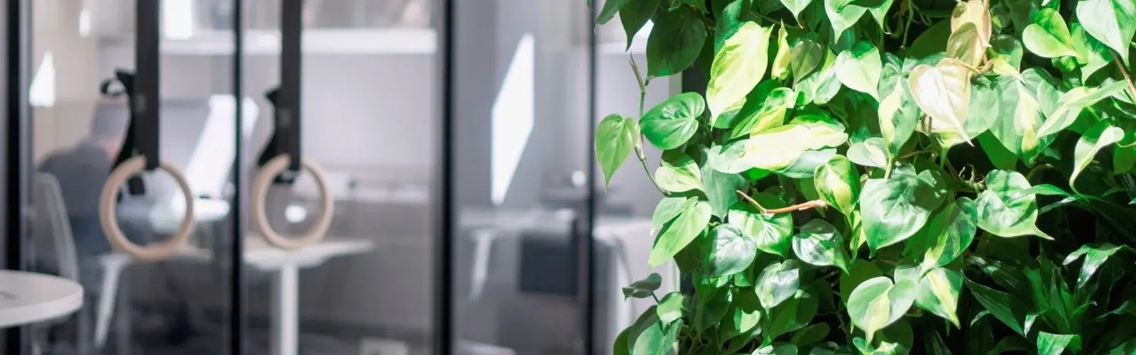 Businesses_and_Public_premises